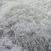 山林の雪景