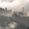 朝霧の風景