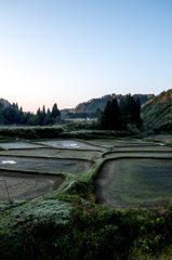 朝露の畦道