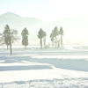 朝の雪景