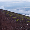 富士登山下山3