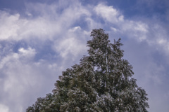 風雪