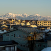 夕日に照らされ