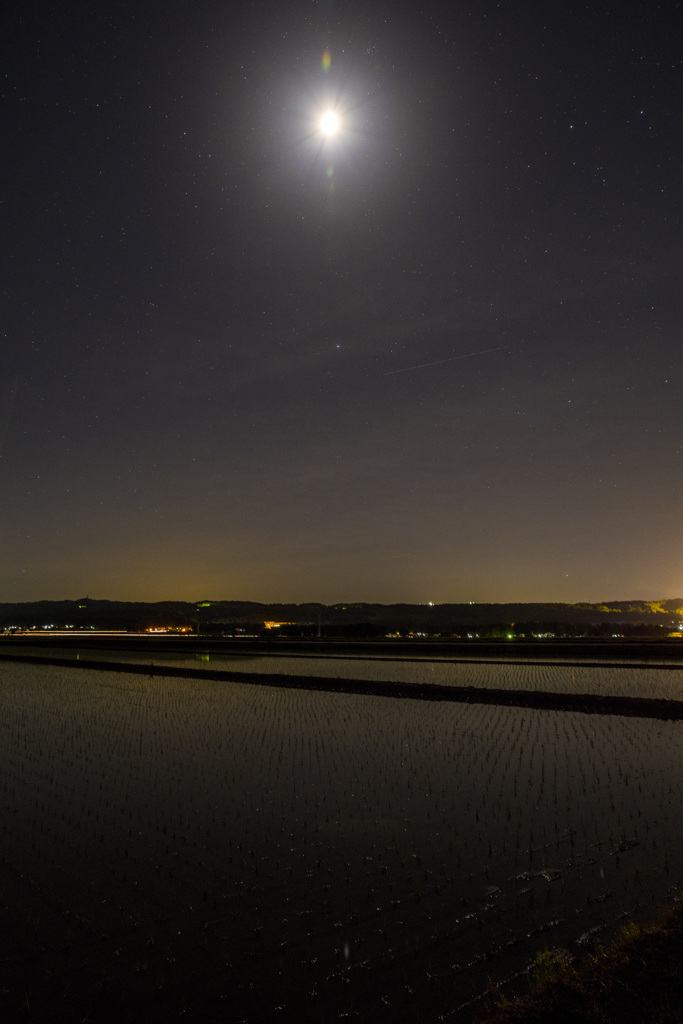 田圃の月