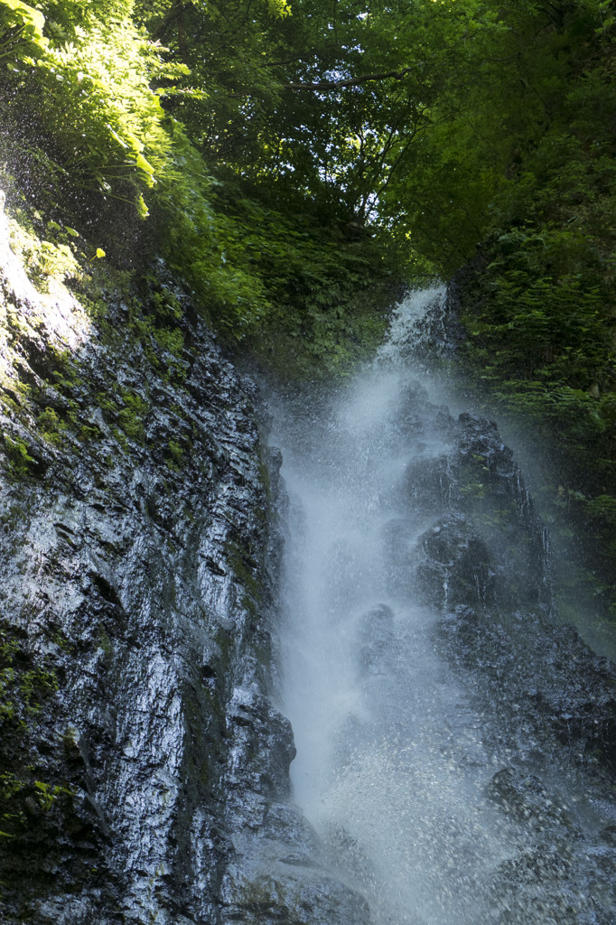 飛沫