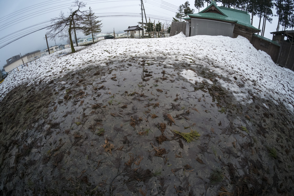 雪解け
