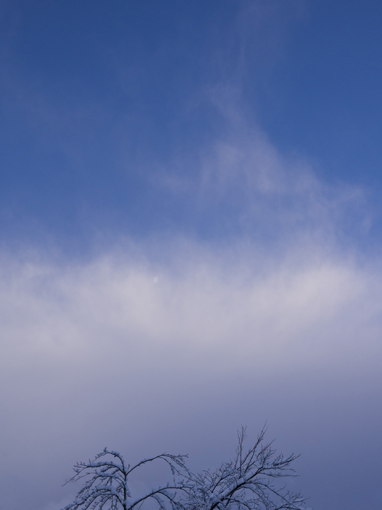 流れる雲に月隠れて