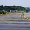 田園風景2