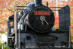 C56144の雄姿
