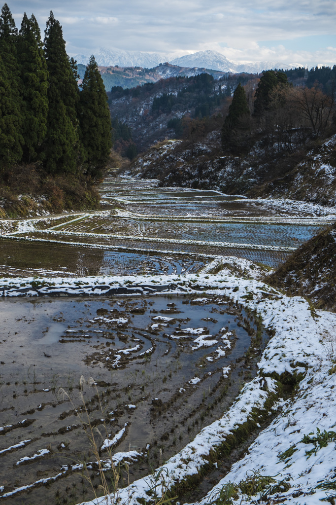 雪の棚田