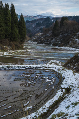雪の棚田