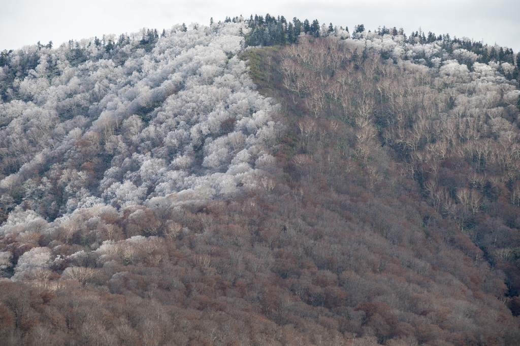 樹氷の花咲く条件