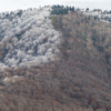 樹氷の花咲く条件