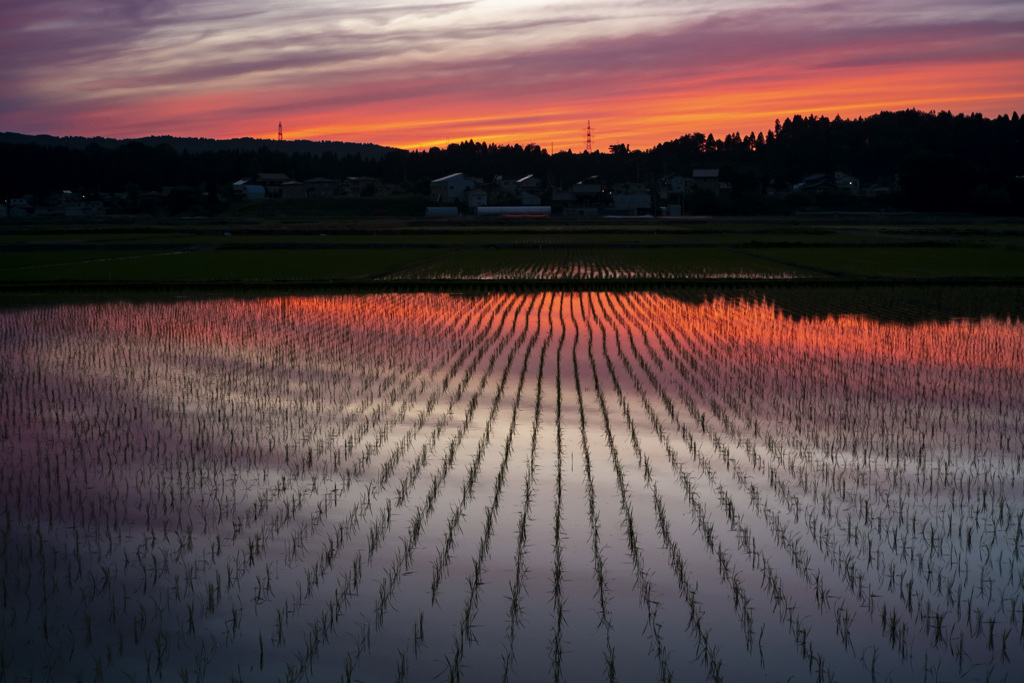 夕焼け