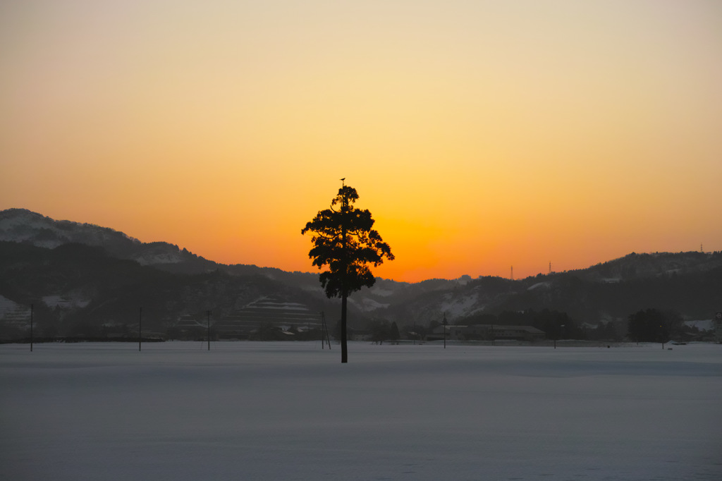 今朝の風景XVII