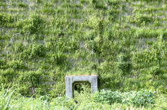 何かの通路
