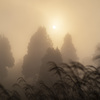 朝もやの中を