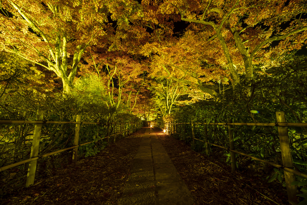 もみじ園通路