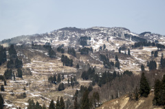 雪消え模様