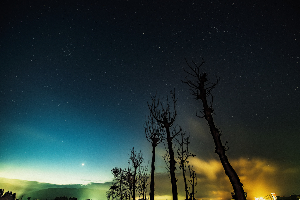 稲架木と星空