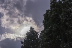 雲行き