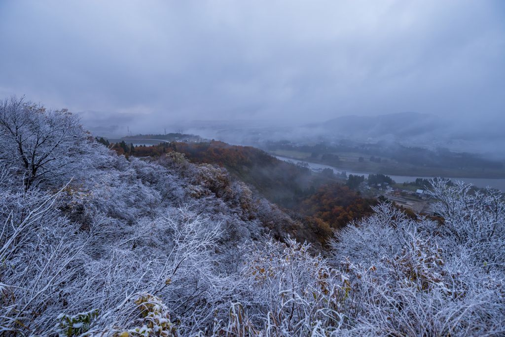 初雪の便り