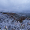 初雪の便り