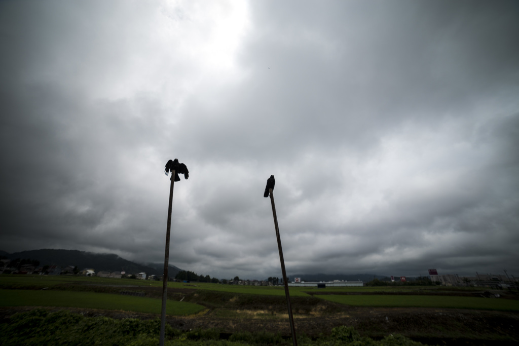梅雨空をｗ