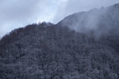 今頃の雪景色