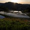 棚田の朝