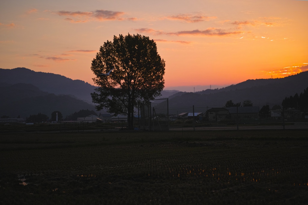 今朝の風景Ⅶ