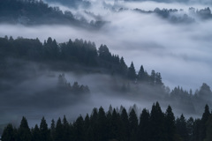 雲海の流れ