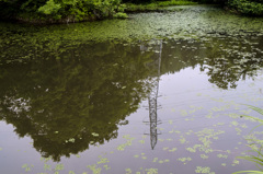 映り込みの沼