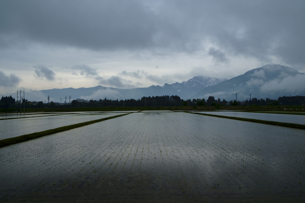 雨降りの日