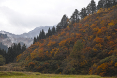 里山の紅葉