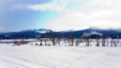 橋のある風景