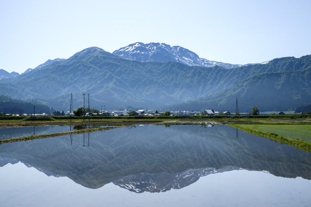 田んぼ水鏡