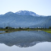 田んぼ水鏡