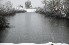 雪降る池