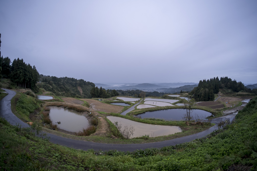 小雨降る棚田の風景