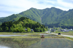 山も衣替え