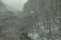風雪の渓谷