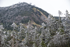 樹氷の山