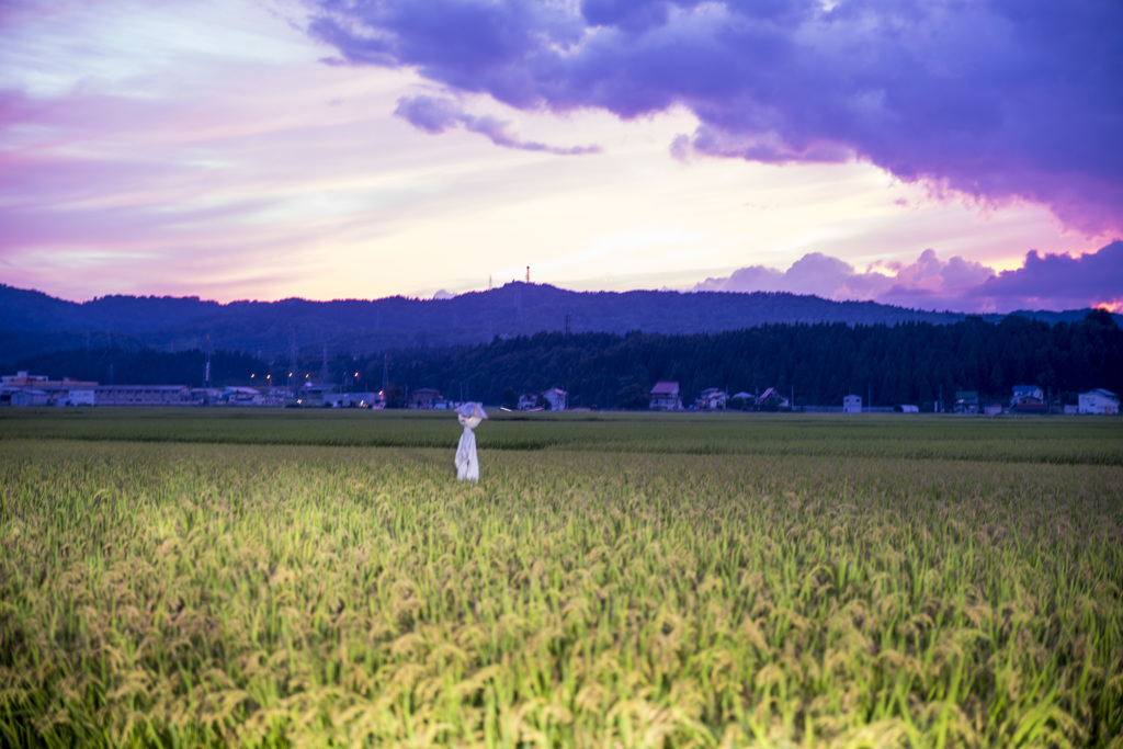 夕焼けのカカシ