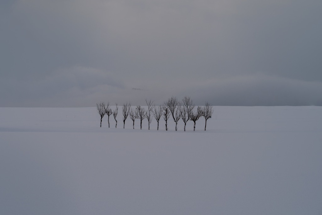 雪原のハサギ