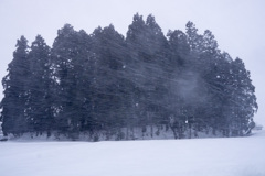 暴風雪