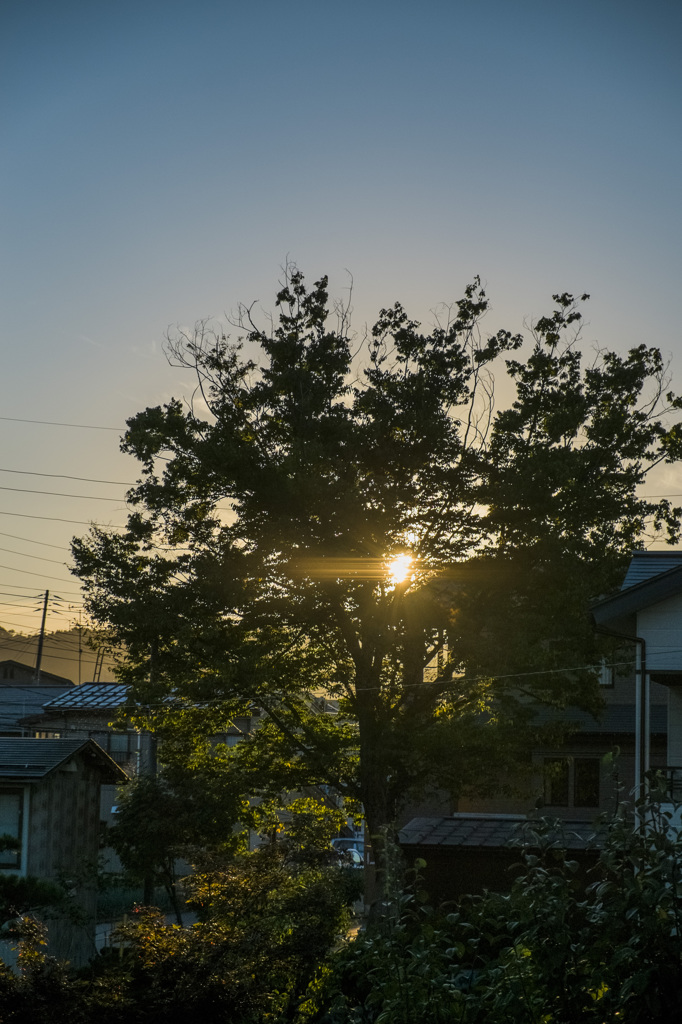 夕暮れ時前