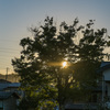 夕暮れ時前