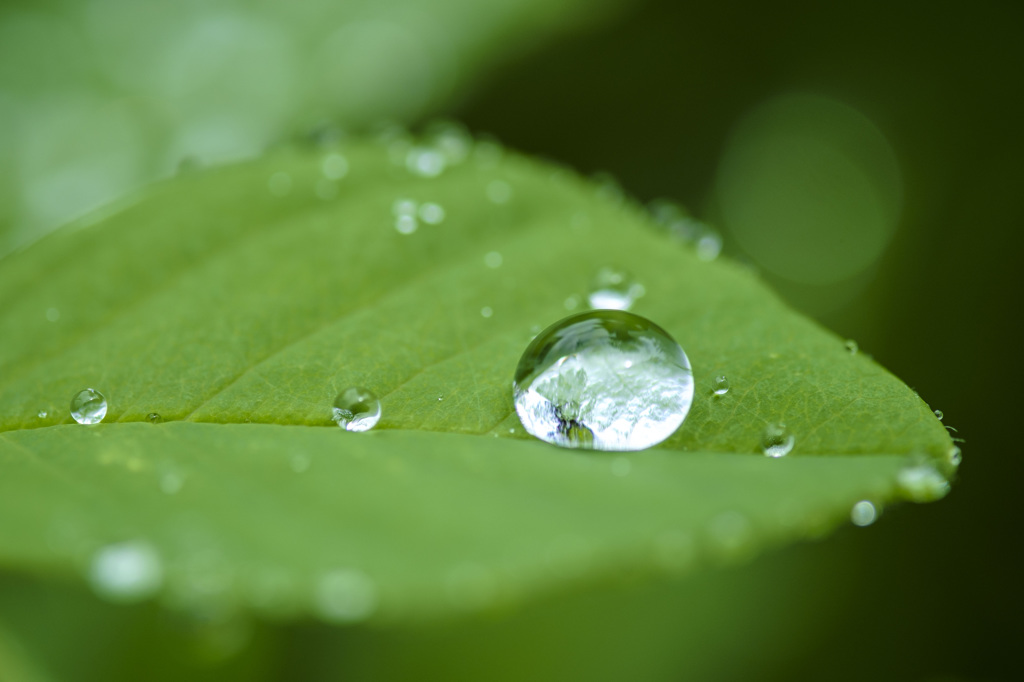 梅雨の一コマ
