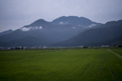 梅雨空に思う